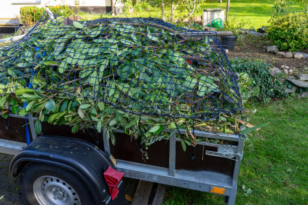 Best Yard Waste Removal  in Mayfield, OH